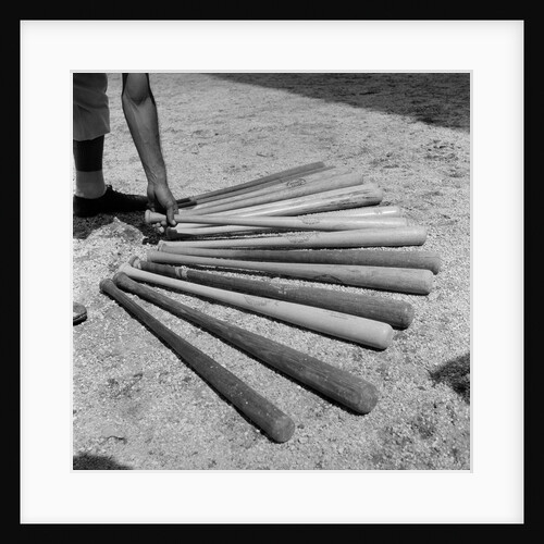 1950s baseball player selecting from a variety of bats by Anonymous