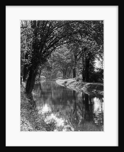 1920s 1930s water in section of abandoned delaware canal reflecting trees lining its banks by Anonymous