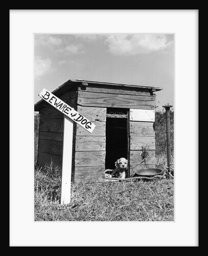 1950s cocker spaniel puppy in doghouse with beware of dog sign by Anonymous