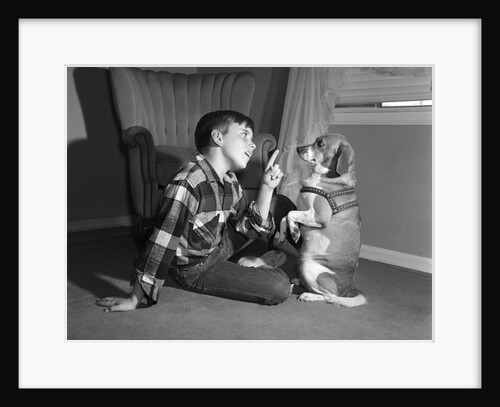1950s boy in plaid shirt shaking finger at dog sitting up on rear legs by Anonymous