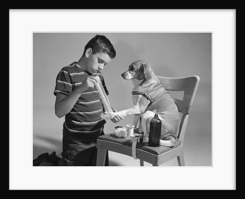 1950s dog on chair with paw being bandaged by boy by Anonymous