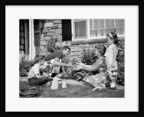 1960s family yard garden by Anonymous
