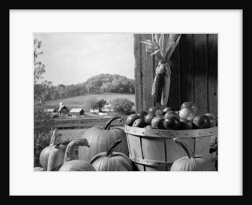 1960s barn door corn apples pumpkins autumn harvest time by Anonymous
