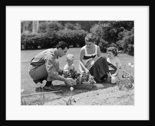 1950s family in garden planting flowers by Anonymous