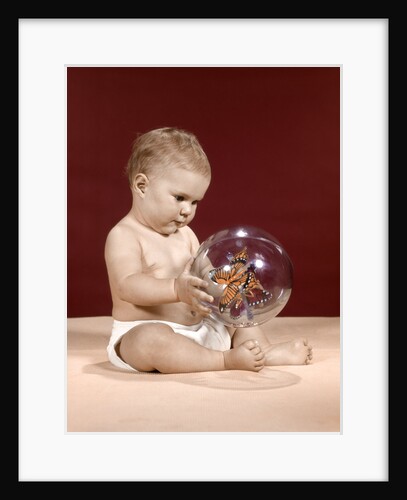 1960s baby sitting holding clear plastic toy ball with butterflies inside by Anonymous