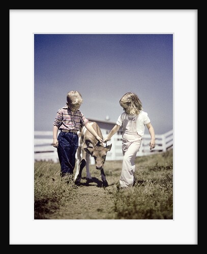 1940s 1950s boy girl leading young calf on farm by Anonymous