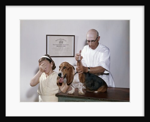 1960s little girl hiding eyes with as pet basset hound gets injection from veterinarian by Anonymous