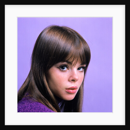 1960s portrait young brunette woman teen head shoulders purple background by Anonymous