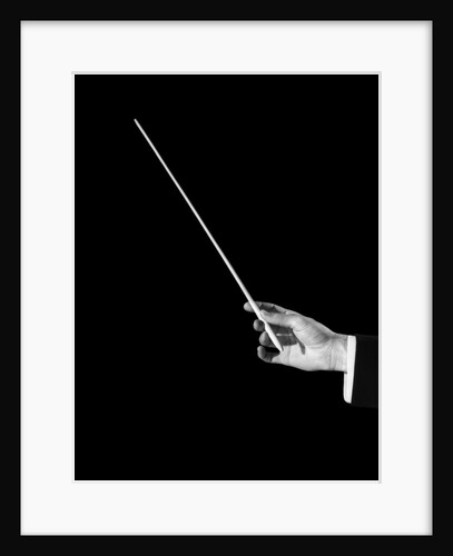 1950s male orchestra conductor's hand holding baton by Anonymous