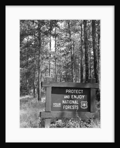 1980s sign in front of wooded area reading protect and enjoy your national forests by Anonymous