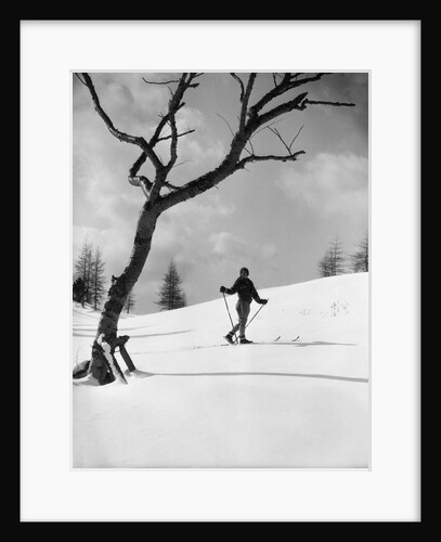 1920s 1930s silhouette of woman cross country skier near old tree by Anonymous