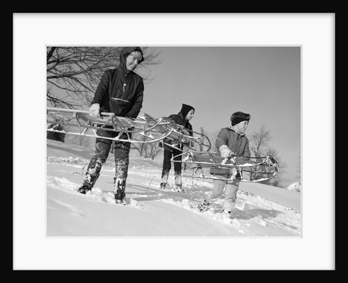 1960s three boys holding sleds looking downhill by Anonymous