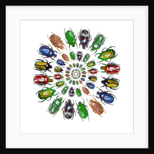 Flower Beetles in circular pattern design by Anonymous