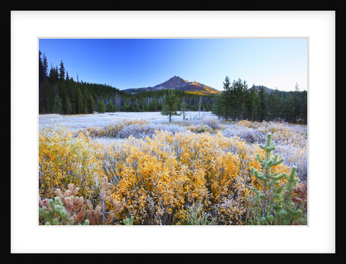 morning frost adds beauty to Broken Top, Three Sisters Wilderness, Oregon Cascades, by Anonymous