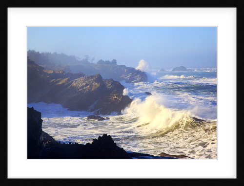 winter storm waves crash on headline at Shore Aceres State Park, Oregon Coast, Pacific Ocean by Anonymous
