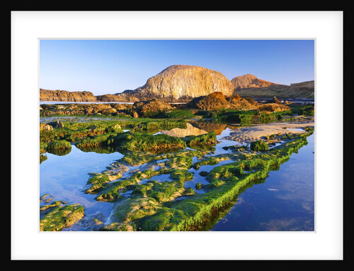 tide pools along beach, Seal Rock State Park, Oregon Coast, Pacific Ocean, Pacific Northwest. by Anonymous