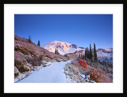 sunrise over Mt. Rainier with snow on fall colors, Washington State by Anonymous