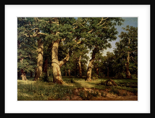 Shishkin I. Painting by Anonymous