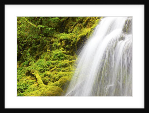 Beautiful Proxy Falls, Willamette National Forest, Oregon Cascade Mountains. Pacific Northwest by Anonymous