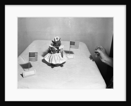 Little squirrel dressed-up as nurse with American flags by Anonymous