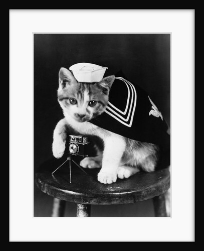 Cute little kitten dressed-up as sailor by Anonymous