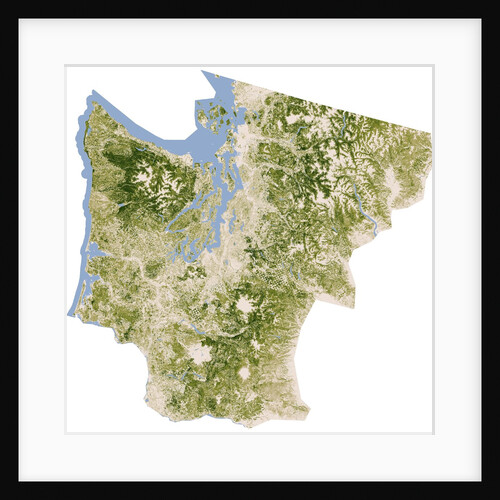 Satellite biomass map of western Washington State by Anonymous