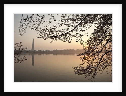 Sunrise over Tidal Basin by Anonymous