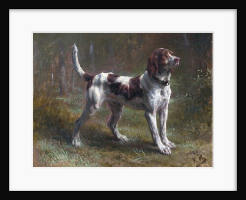 A Limier Briquet Hound by Rosa Bonheur
