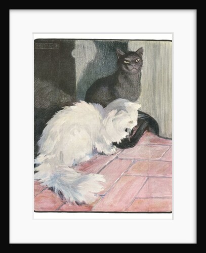 A White and Black Cat Sitting on a City Stoop by Anonymous