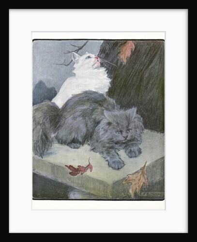 A White and Gray Persian Cat on a Park Bench in the Fall by Anonymous