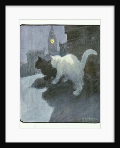 A White and Black Cat Sitting on a City Rooftop by Anonymous
