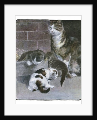 Domestic Cat with Three Kittens by Anonymous