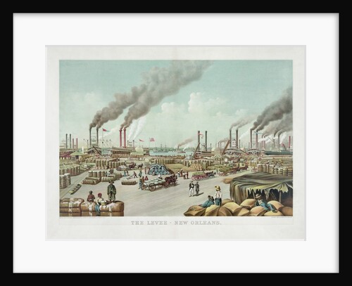The Levee - New Orleans by Anonymous