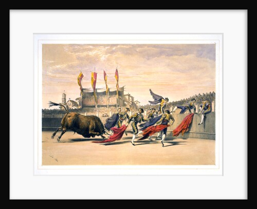 Chulos Playing the Bull by Anonymous