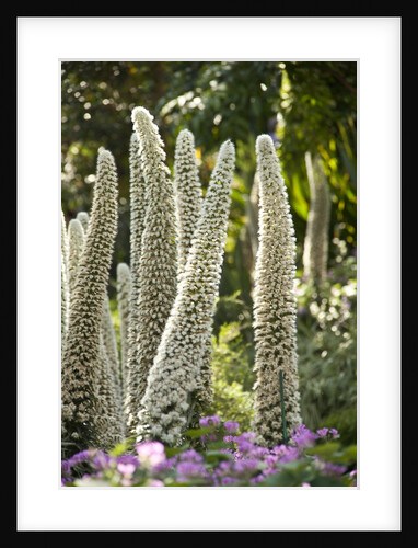 Tower of Jewels Flowers by Anonymous