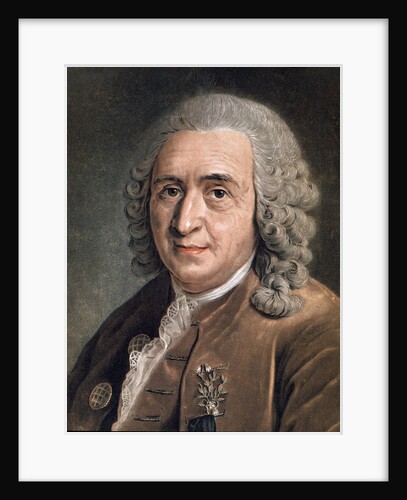 Portrait of Charles Linnaeus by Anonymous