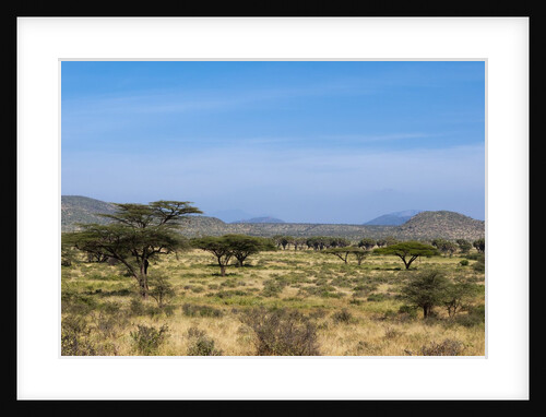 Samburu, Kenya by Anonymous