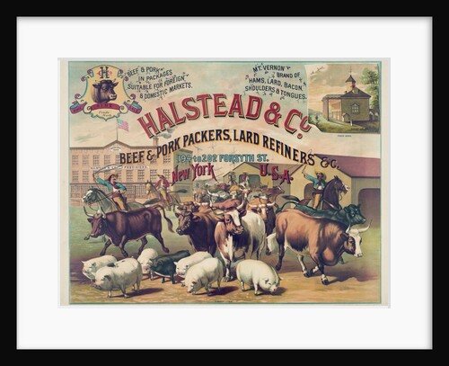 Halstead & Co. Beef & Pork Packers, Lard Refiners & Co. by Anonymous