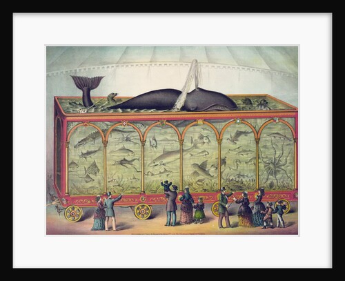 Lithograph of 19th century traveling aquarium by Anonymous