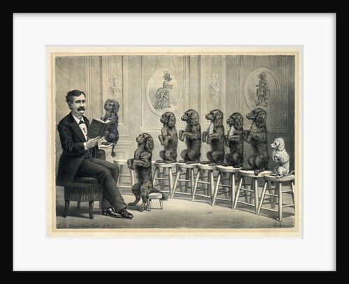 Educated Dogs by Anonymous