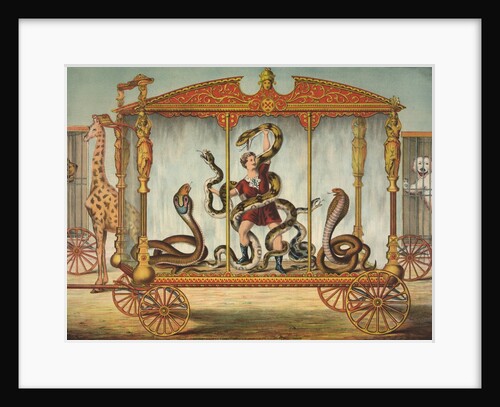 The Snake Wagon by Anonymous