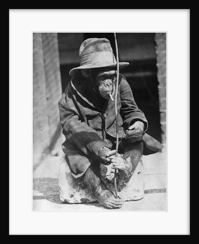 Monkey wearing jacket smoking cigarette by Anonymous