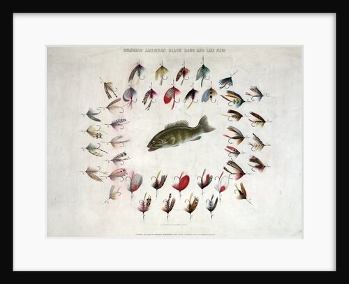 Standard American Black Bass and Lake Flies by Anonymous