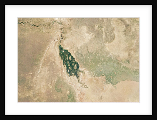 Satellite view of the Savuti river and swamp by Anonymous