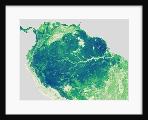 Forest Height Map of the Amazon Basin by Anonymous