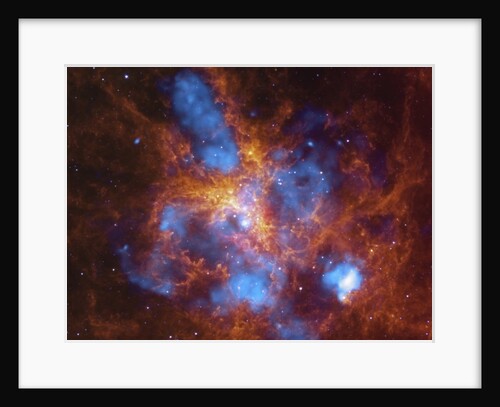 30 Doradus and the Tarantula Nebula by Anonymous