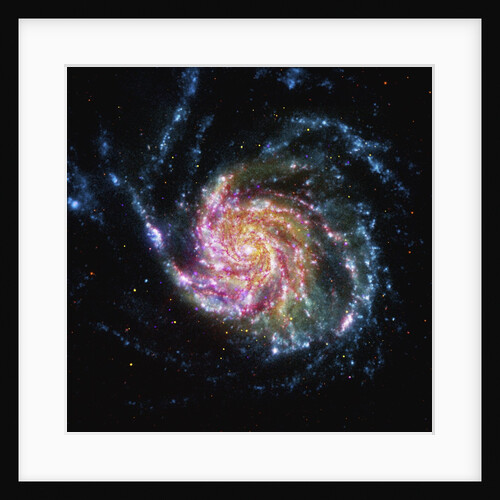 The Pinwheel Galaxy is in the constellation of Ursa Major by Anonymous