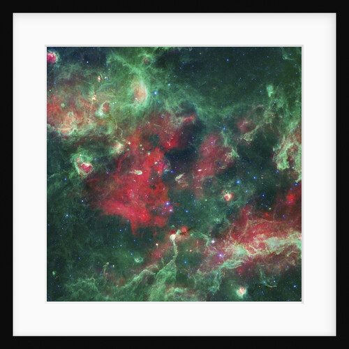 Stars Brewing in Cygnus X by Anonymous