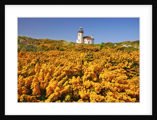 wildflowers add beauty to Coquille River Lighthouse, Bandon Beach, Oregon Coast, Pacific Northwest. by Anonymous