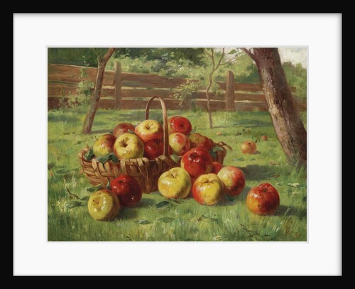 Apple Harvest by Karl Vikas